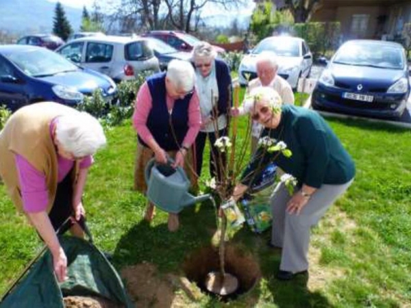 Planting two pear trees in honour of our two founding women